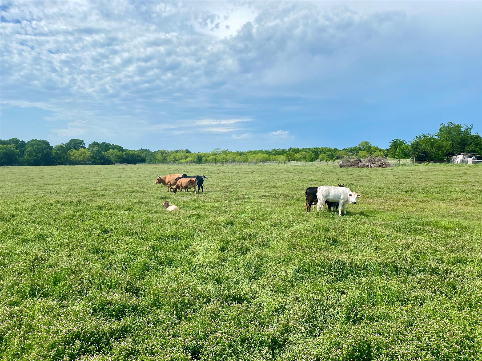 7984 County Road 2582 Royse City TX 75189
