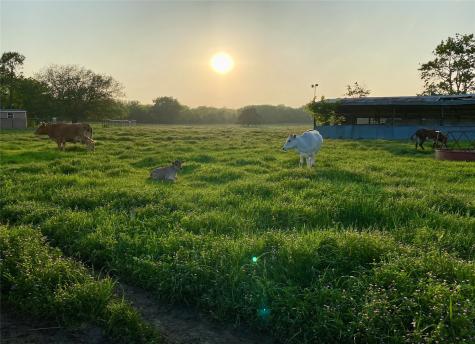 7984 County Road 2582 Royse City TX 75189