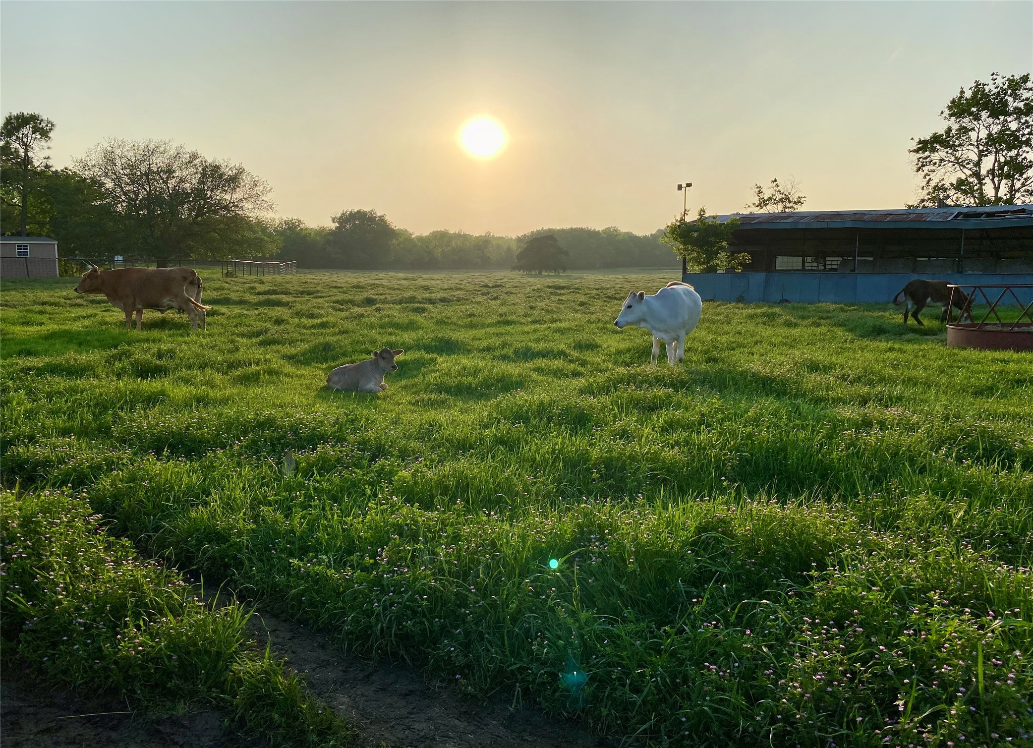 7984 County Road 2582 Royse City TX 75189