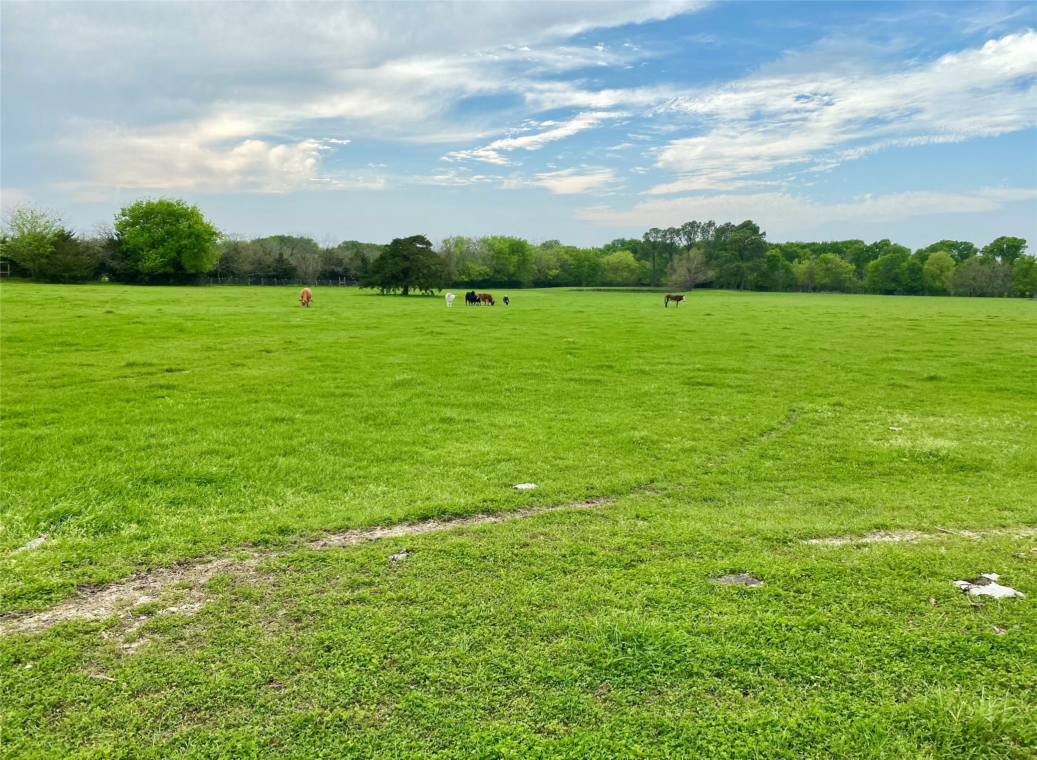 7984 County Road 2582 Royse City TX 75189