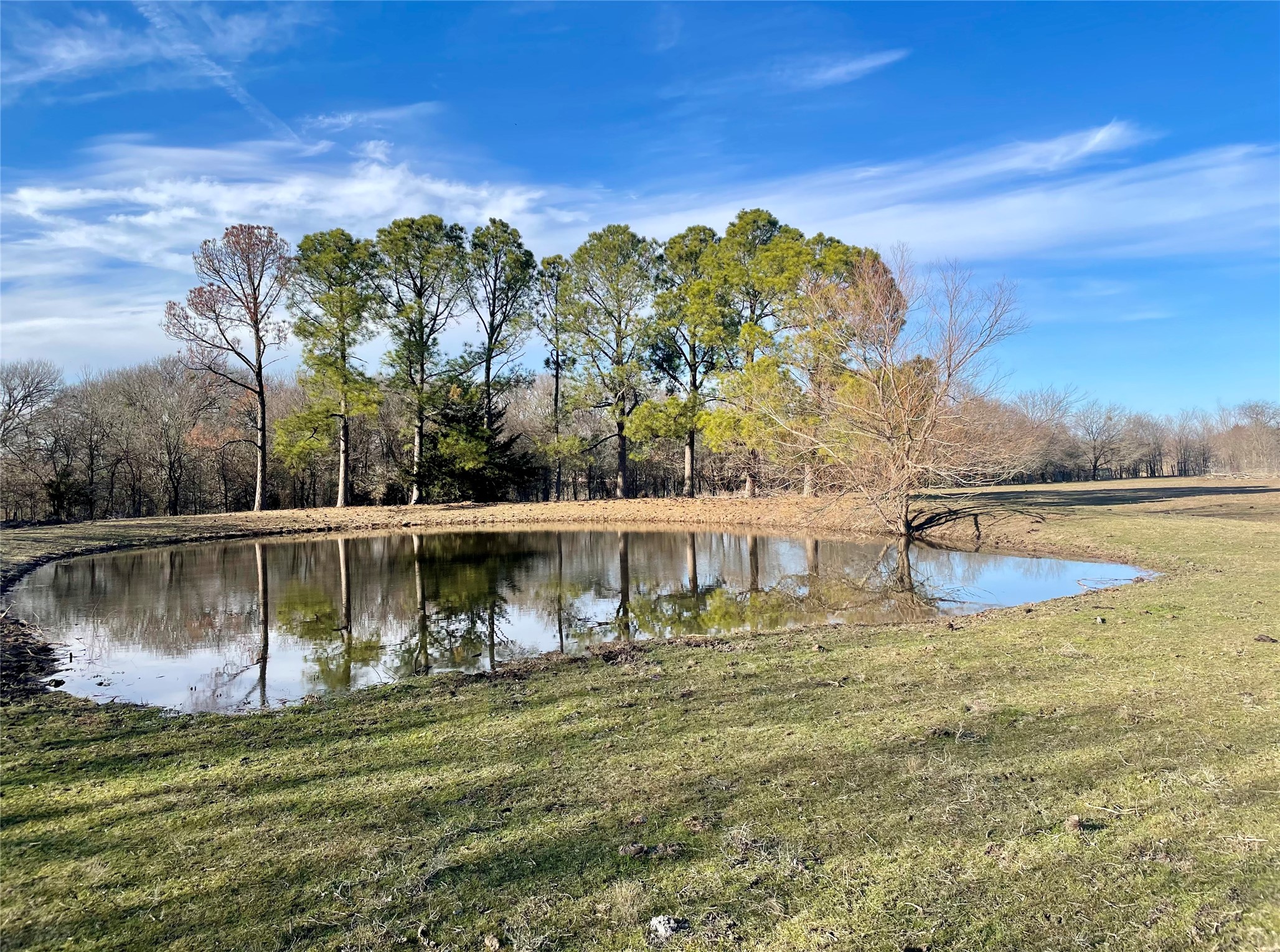 7984 County Road 2582 Royse City TX 75189