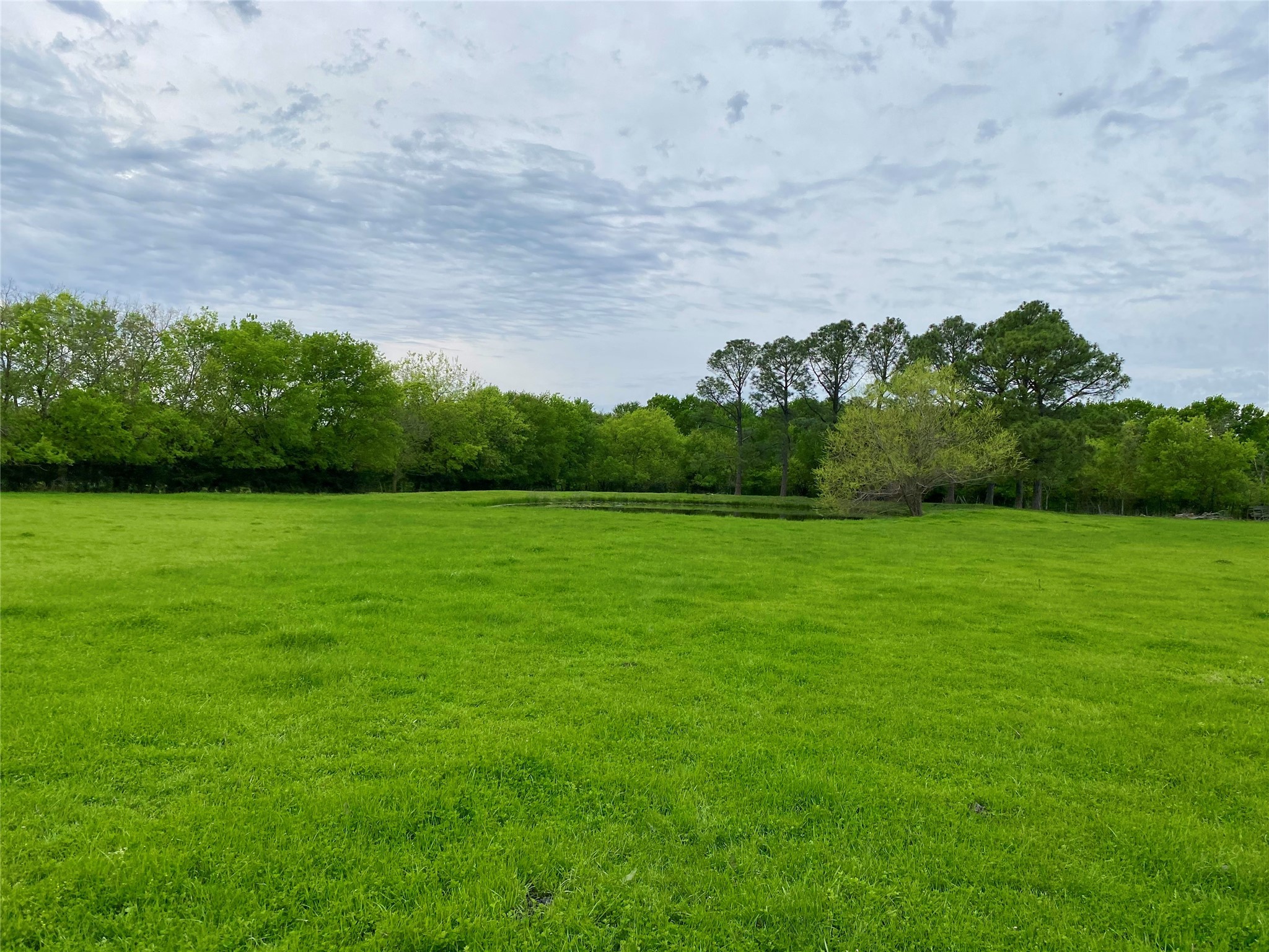7984 County Road 2582 Royse City TX 75189
