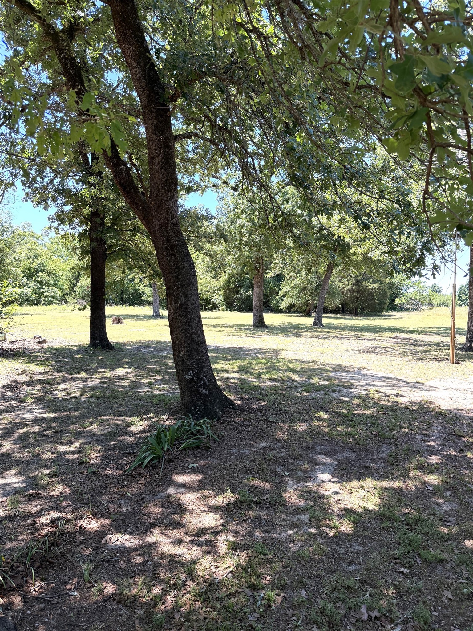 4905 Fm 2709 Athens TX 75752