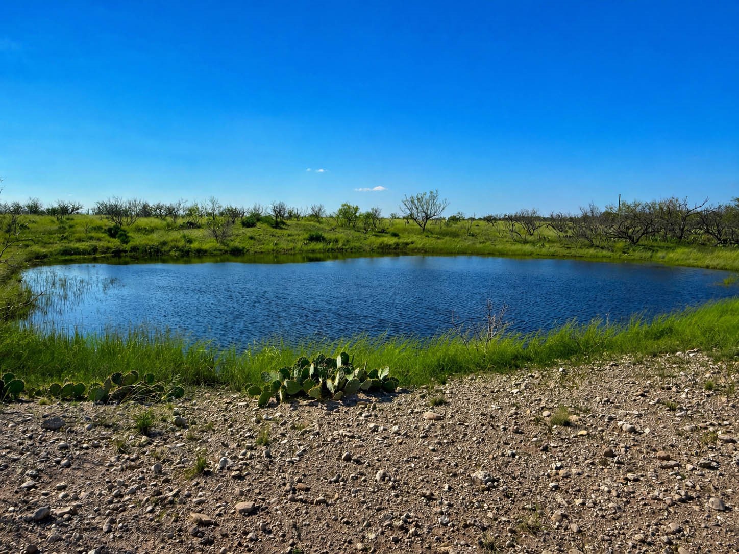 85 Private Road 527 Brady TX 76858