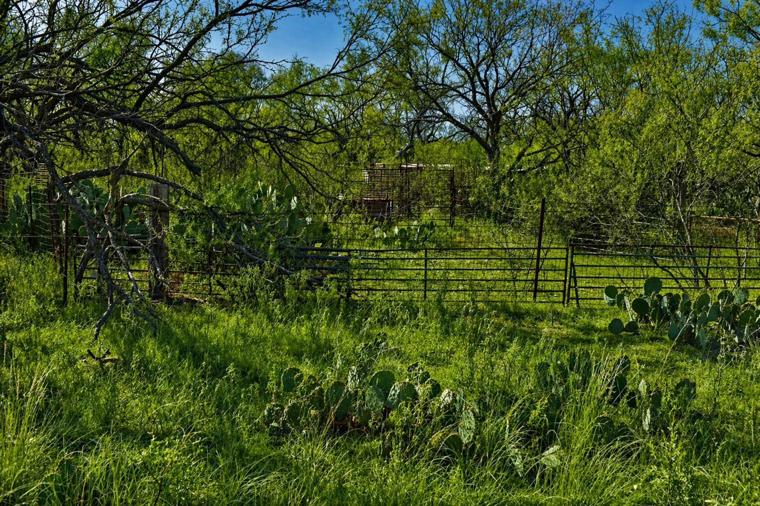 85 Private Road 527 Brady TX 76858