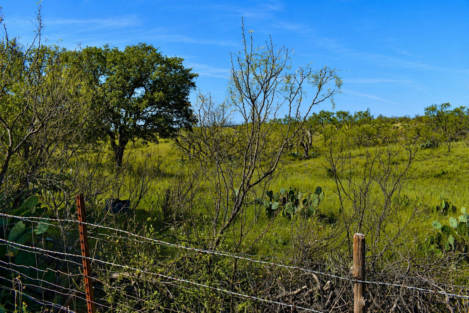 85 Private Road 527 Brady TX 76858