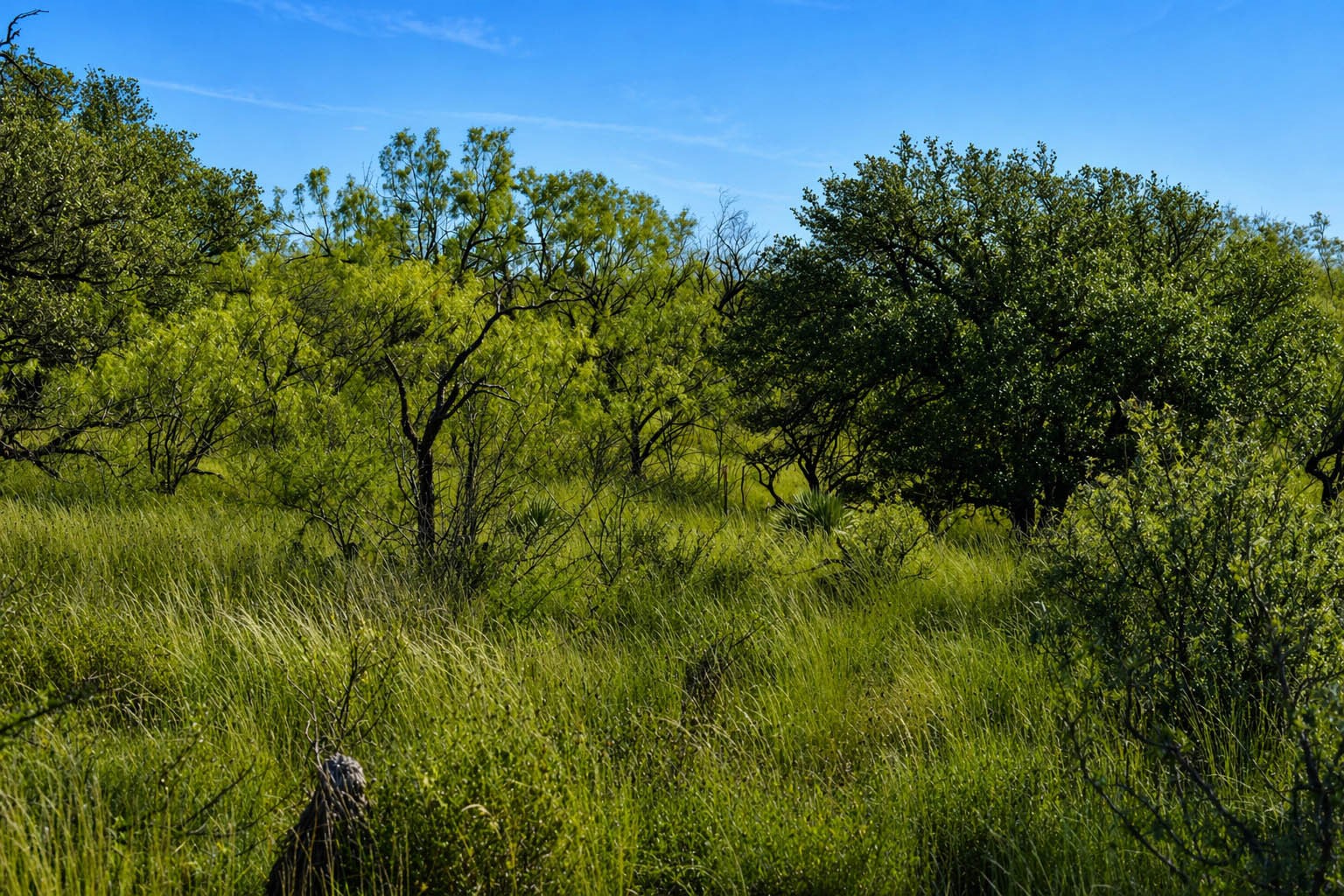 85 Private Road 527 Brady TX 76858