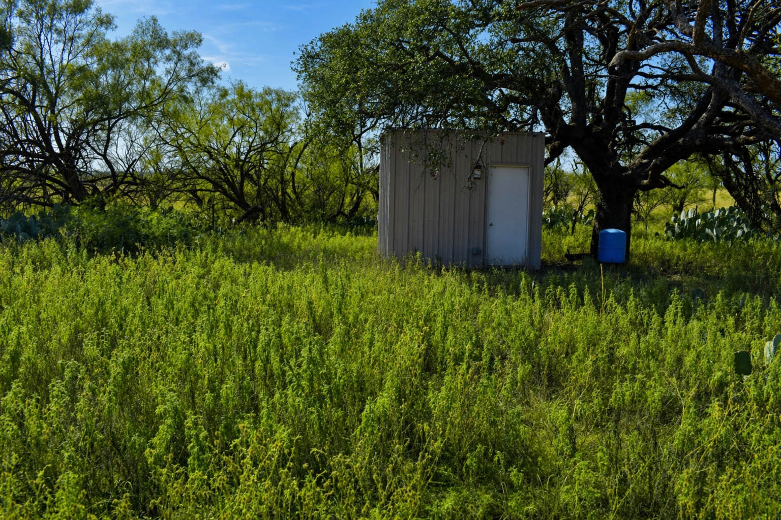 85 Private Road 527 Brady TX 76858