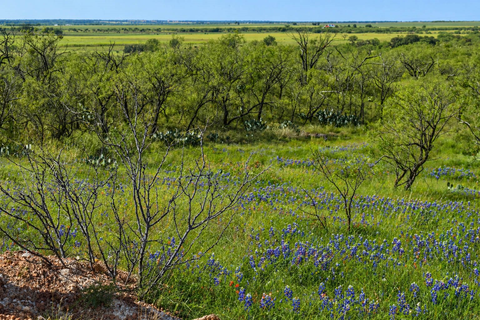 85 Private Road 527 Brady TX 76858
