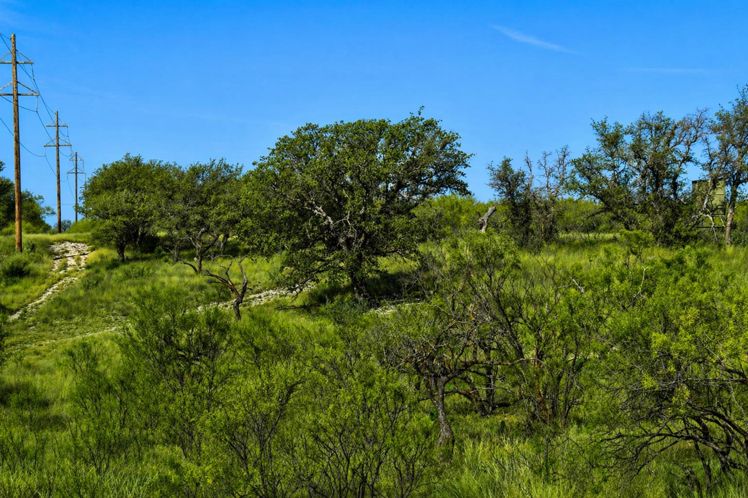 85 Private Road 527 Brady TX 76858