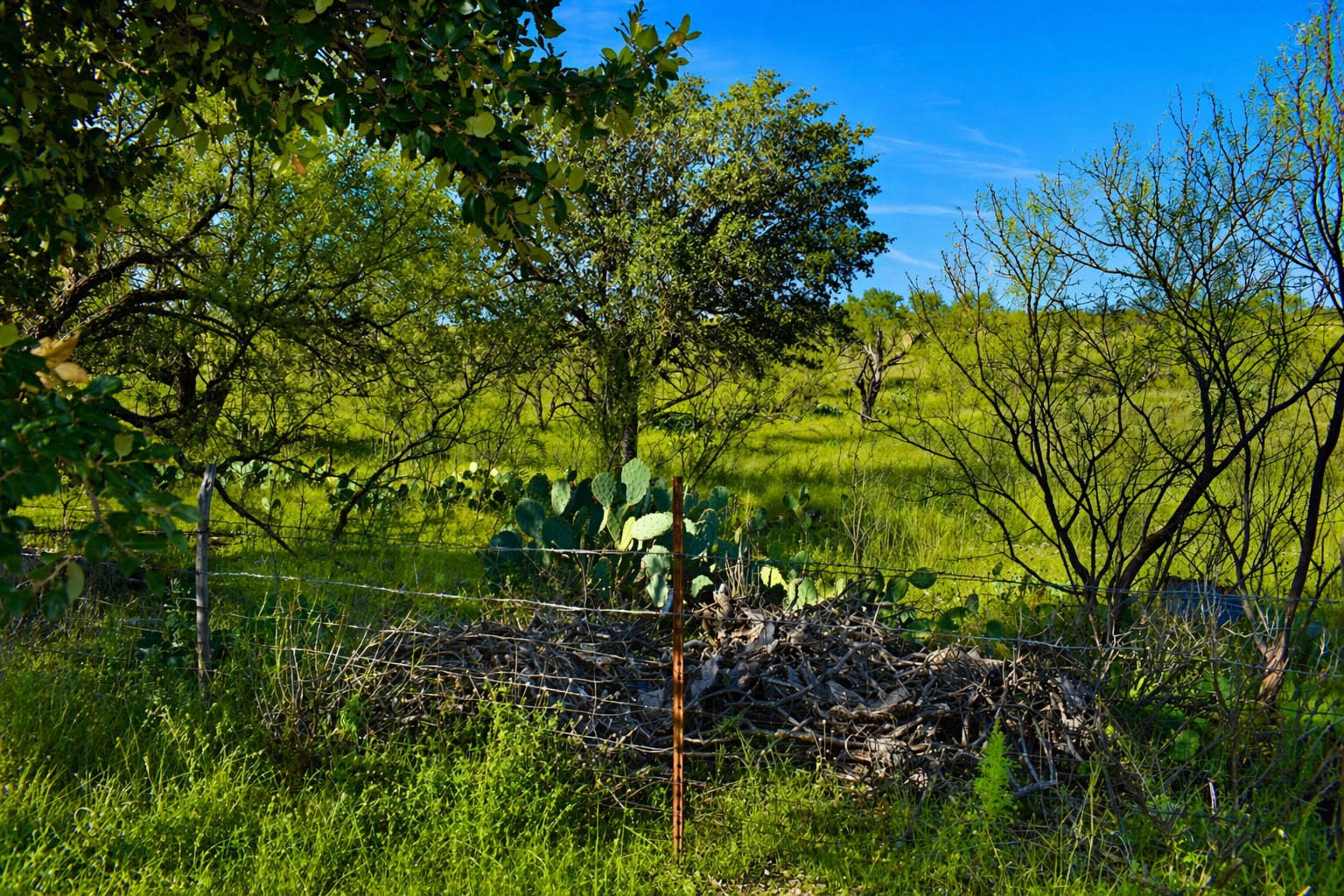 85 Private Road 527 Brady TX 76858