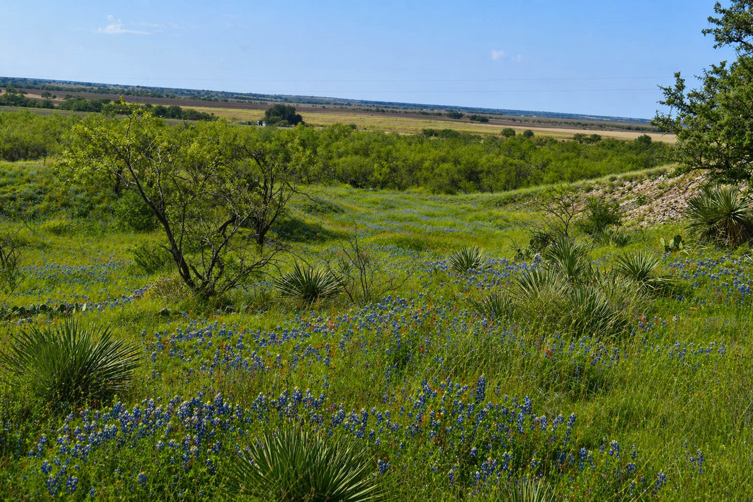 85 Private Road 527 Brady TX 76858