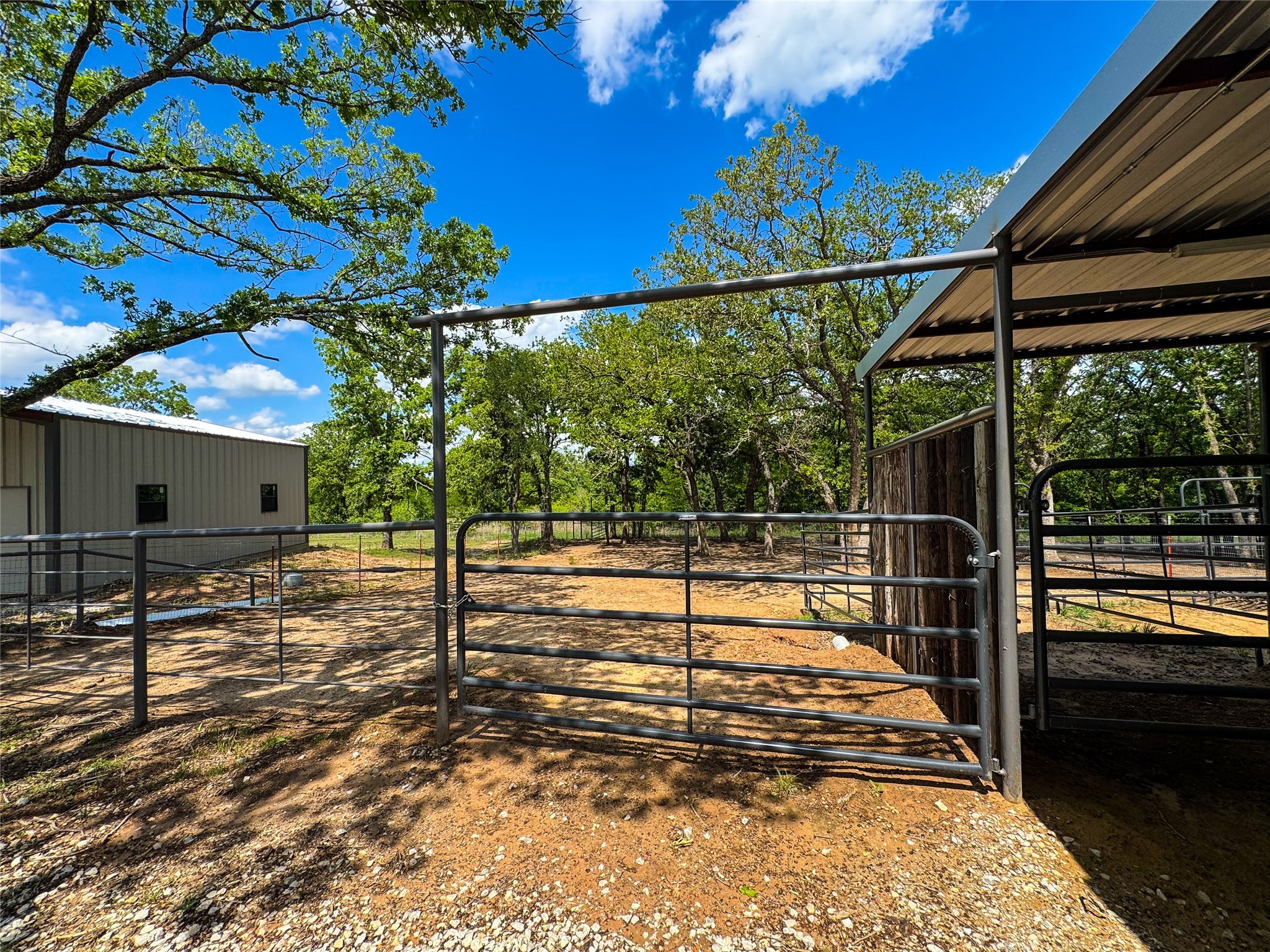 116 Thompson Trail Paradise TX 76073