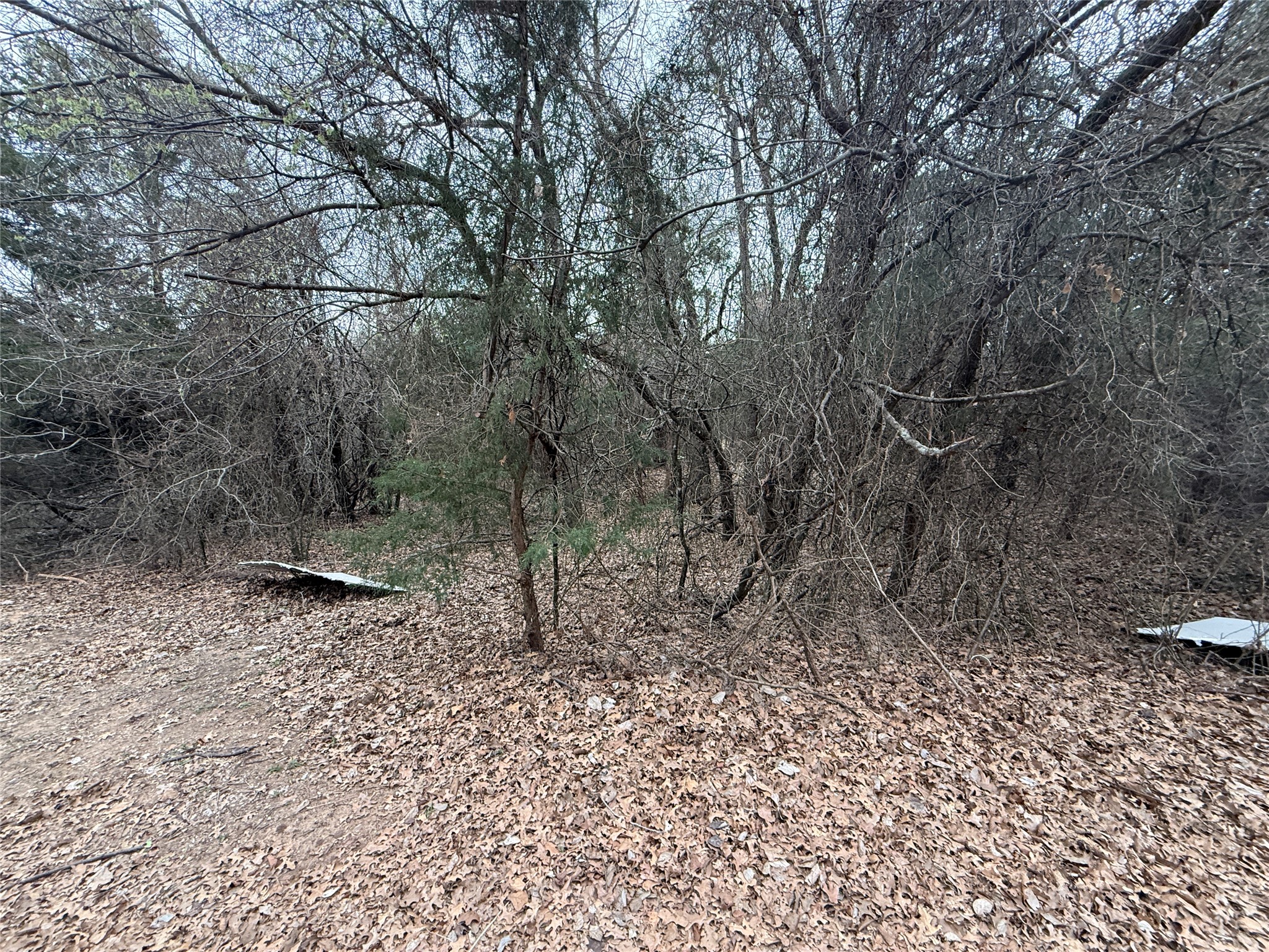 353 Co Road 1260 Decatur TX 76234