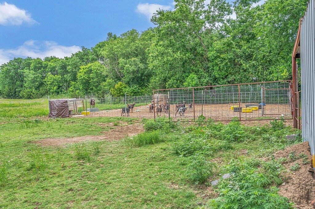 1176 Blue Cut Road N Mcgregor TX 76657