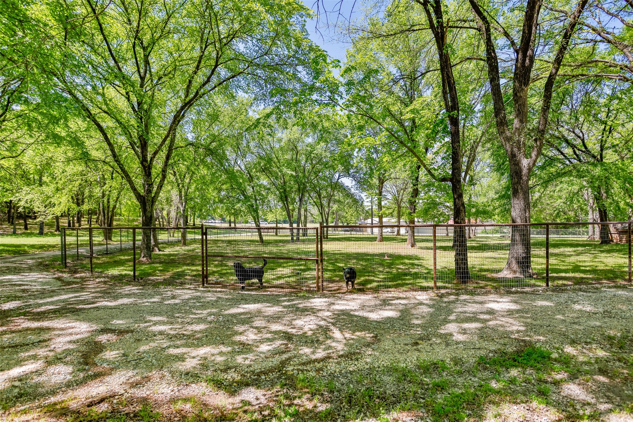 100 Shawnee Trail Road Whitesboro TX 76273