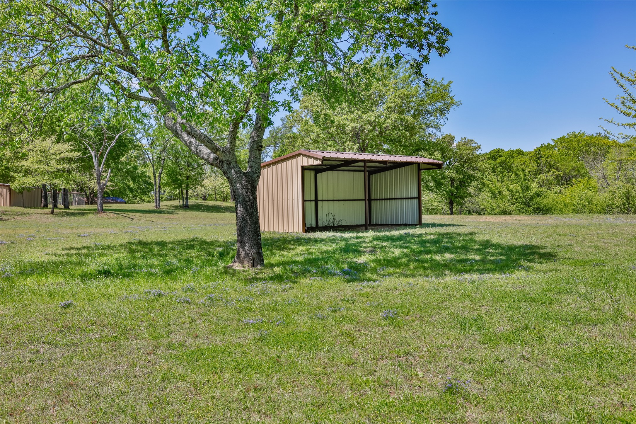 100 Shawnee Trail Road Whitesboro TX 76273