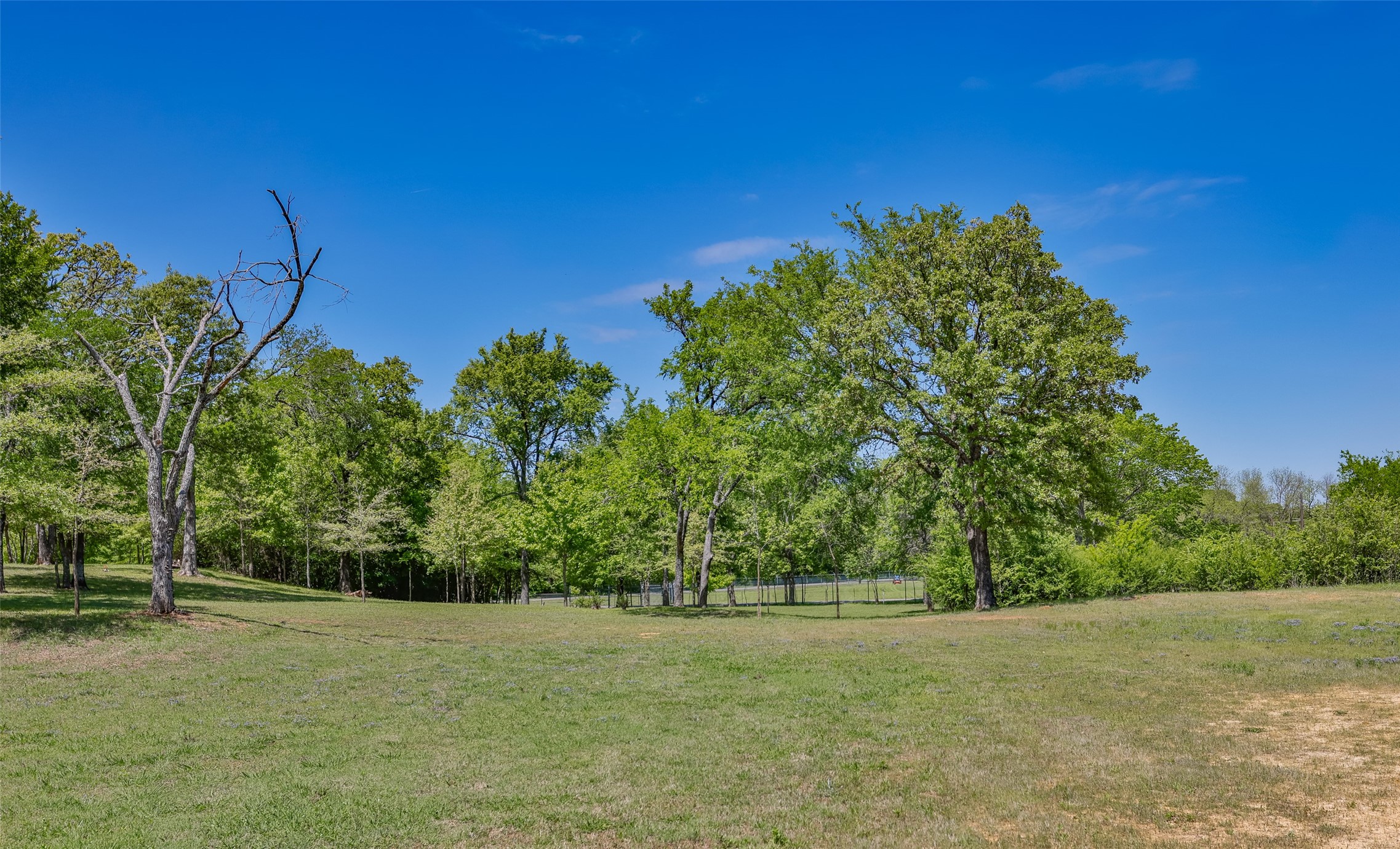 100 Shawnee Trail Road Whitesboro TX 76273