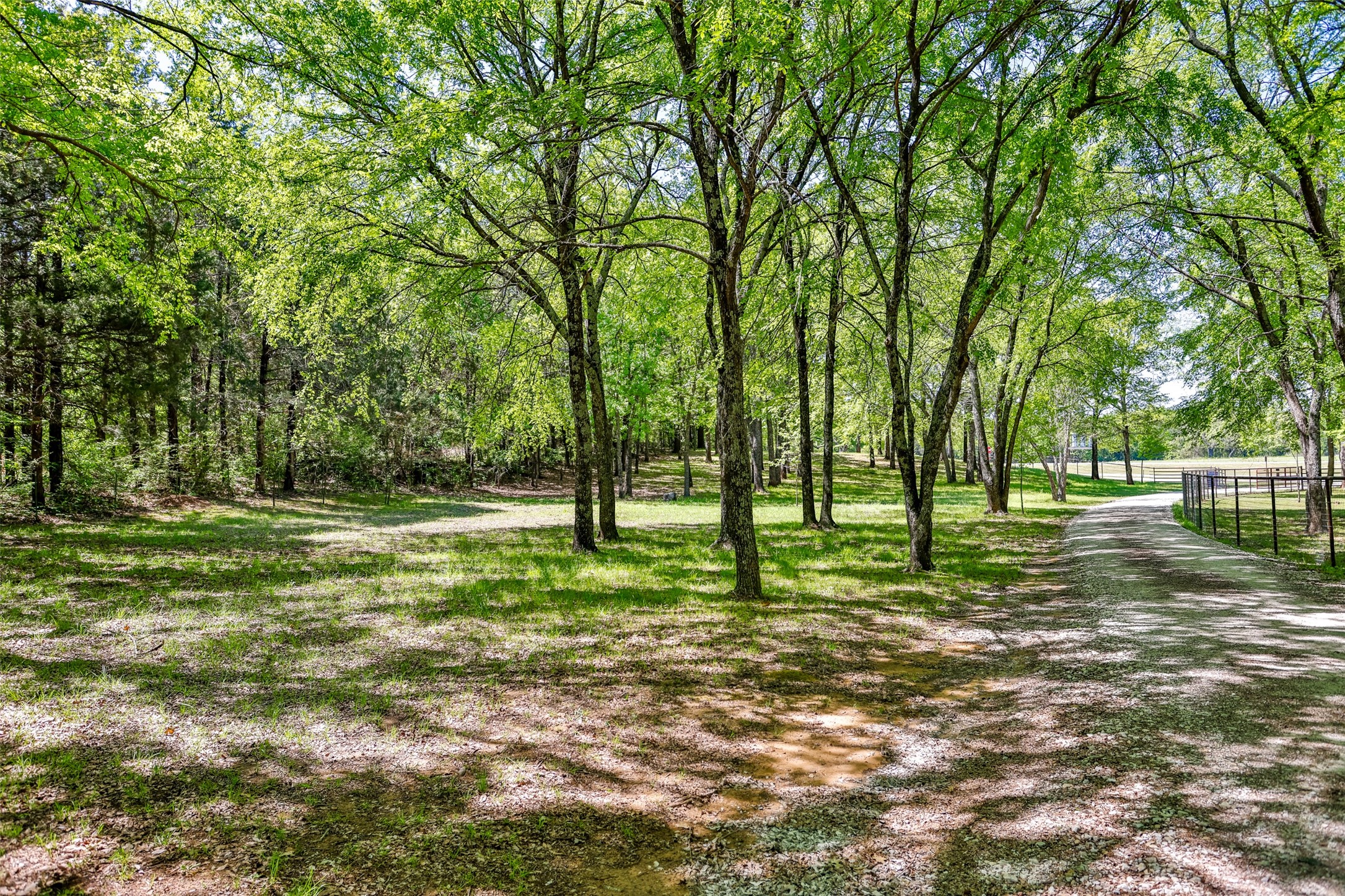 100 Shawnee Trail Road Whitesboro TX 76273