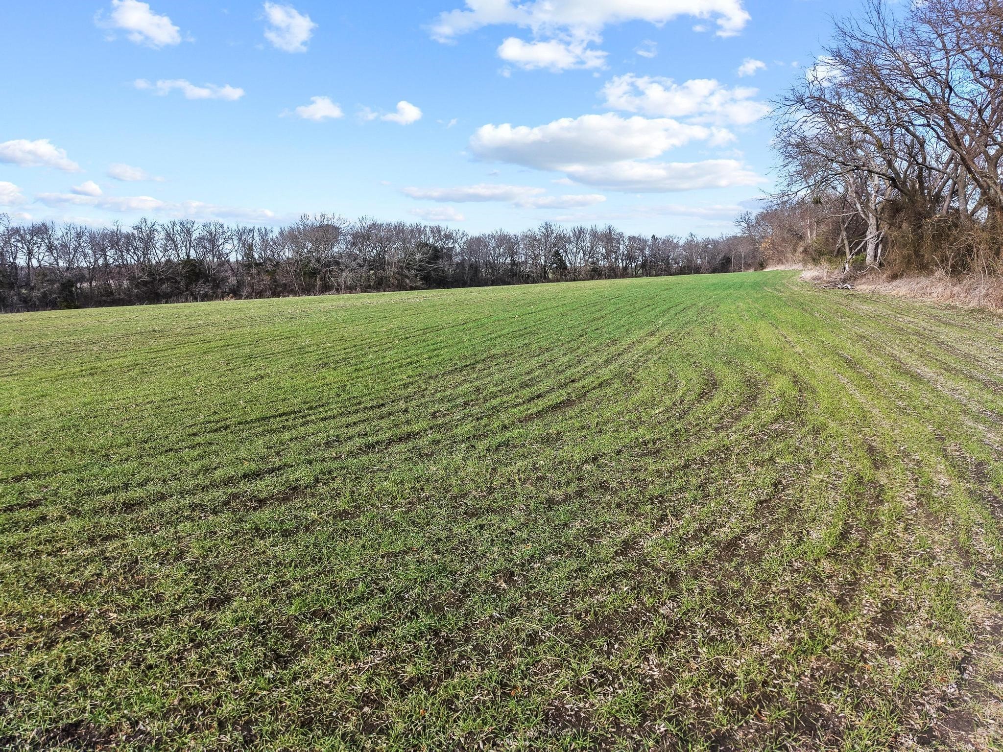 225 Caleb Road Sherman TX 75090