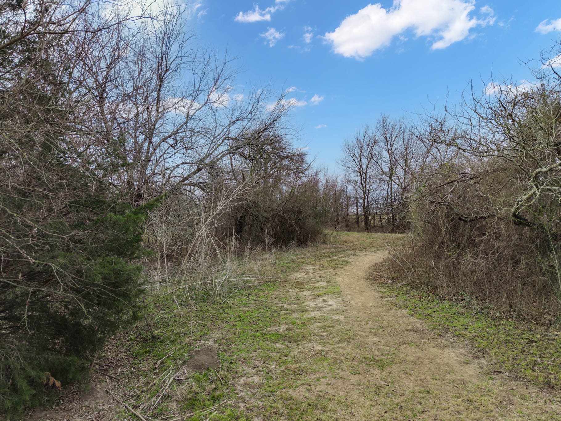 728 Hcr 3373 Hubbard TX 76648