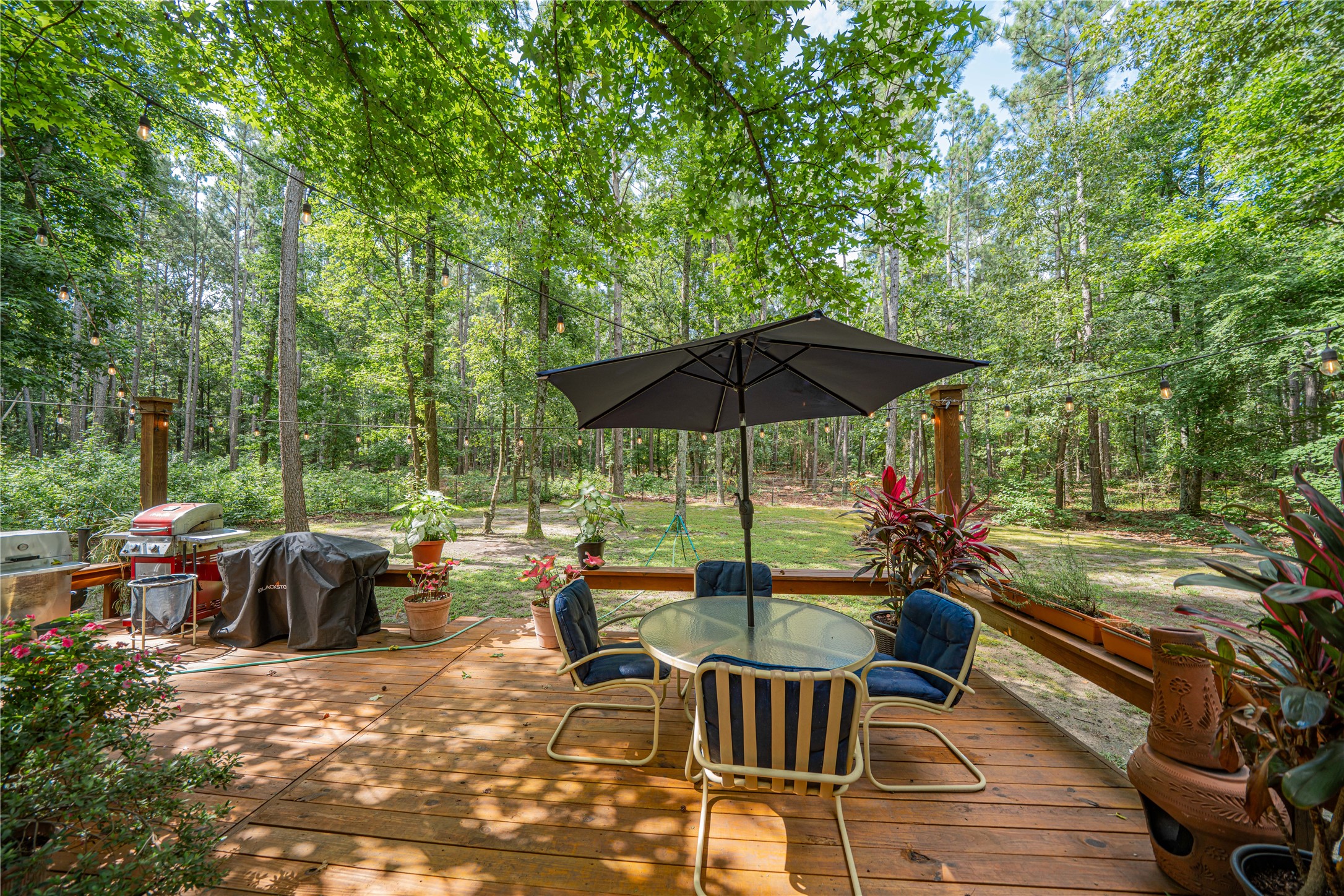 455 SE Cr 3350 Winnsboro TX 75494