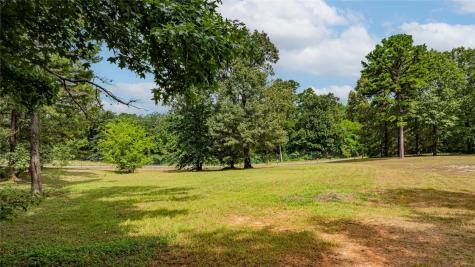 455 SE Cr 3350 Winnsboro TX 75494