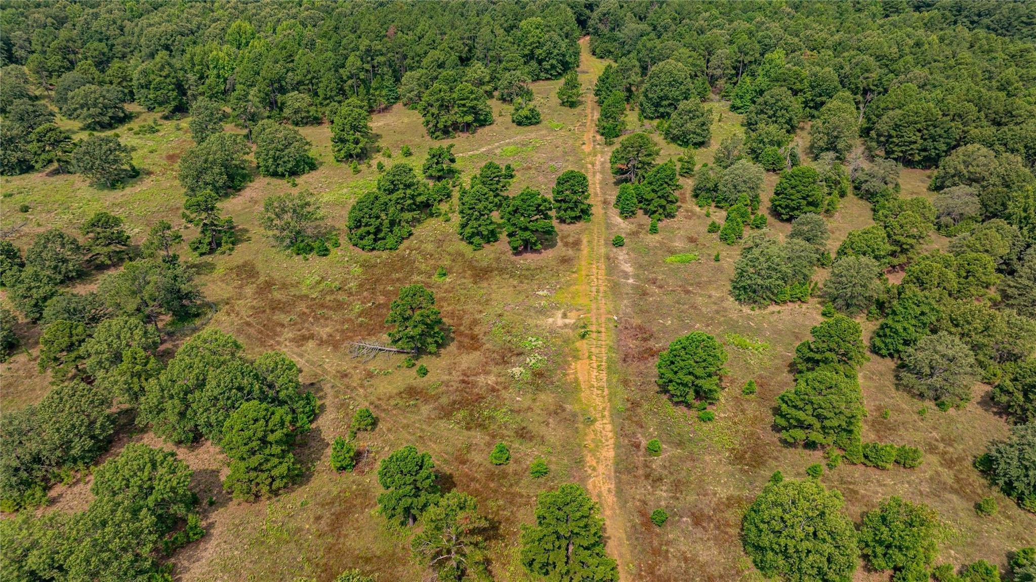 455 SE Cr 3350 Winnsboro TX 75494