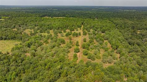 455 SE Cr 3350 Winnsboro TX 75494
