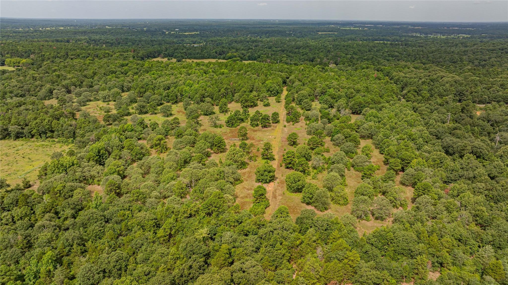 455 SE Cr 3350 Winnsboro TX 75494