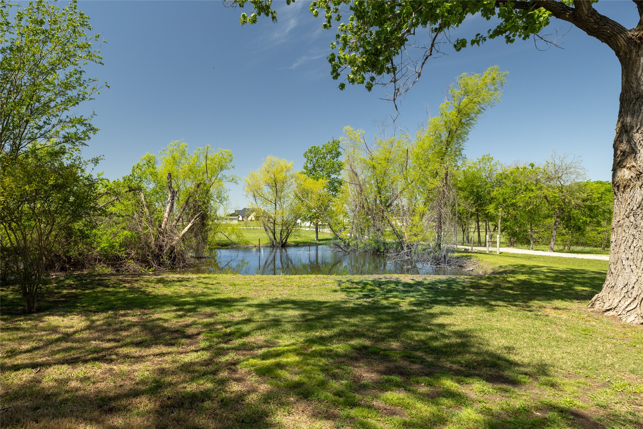 14260 Warbler Lane Haslet TX 76052