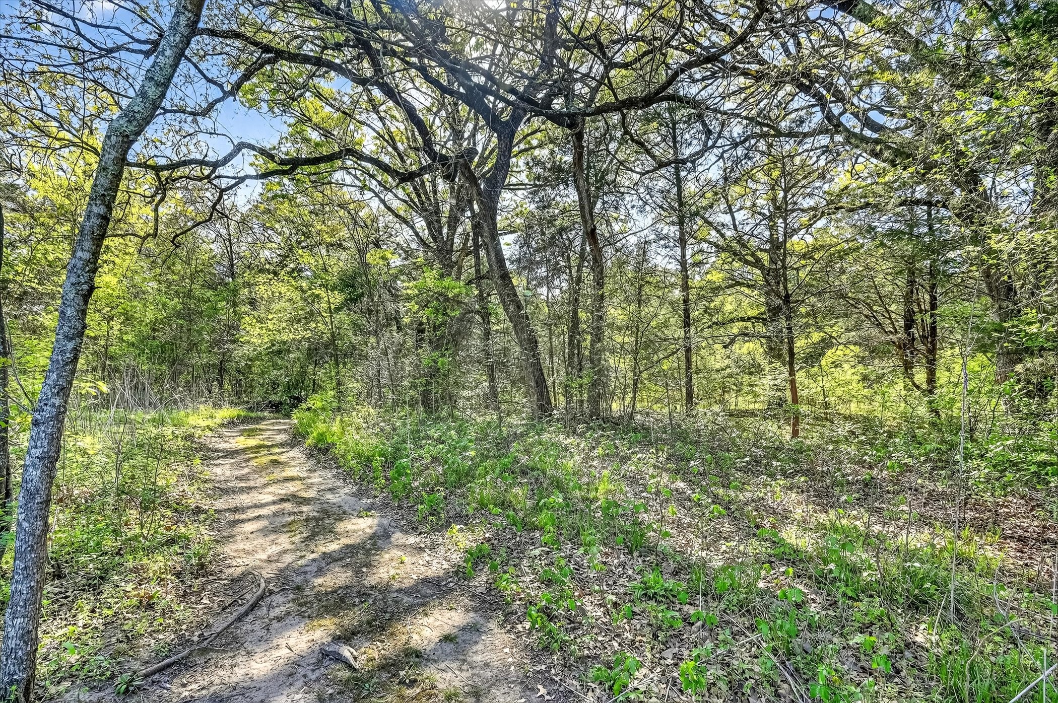 1800 Pritchett Lane Kemp TX 75143