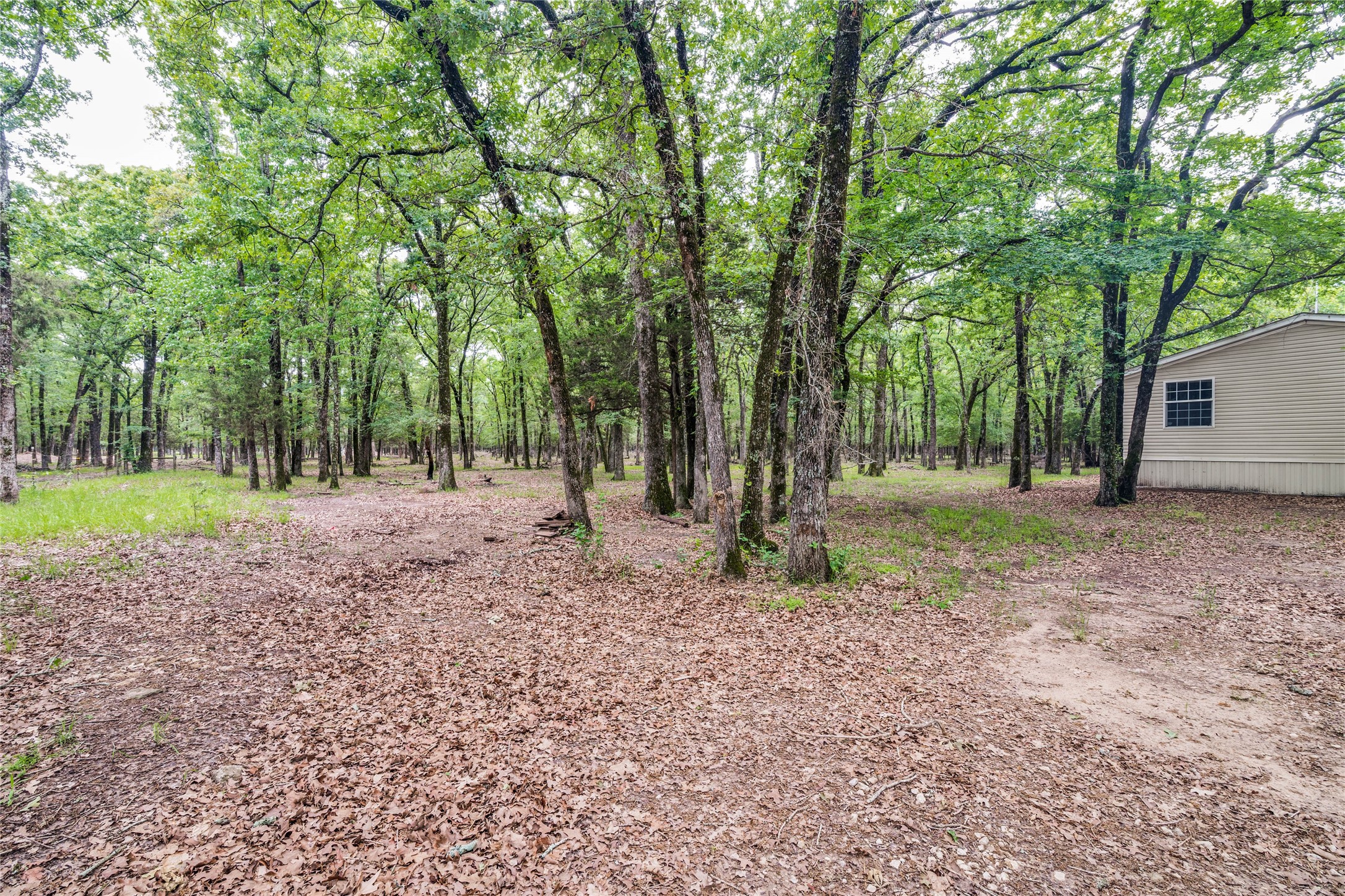 1229 Sandy Oaks Road Quinlan TX 75474