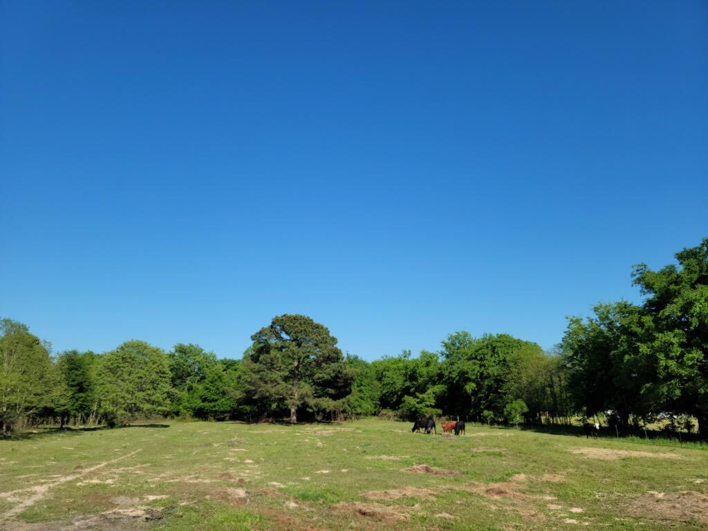 22703 County Road 448 Lindale TX 75771