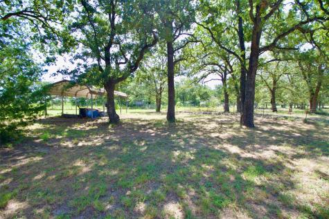 262 County Road 173 Road Marlin TX 76661
