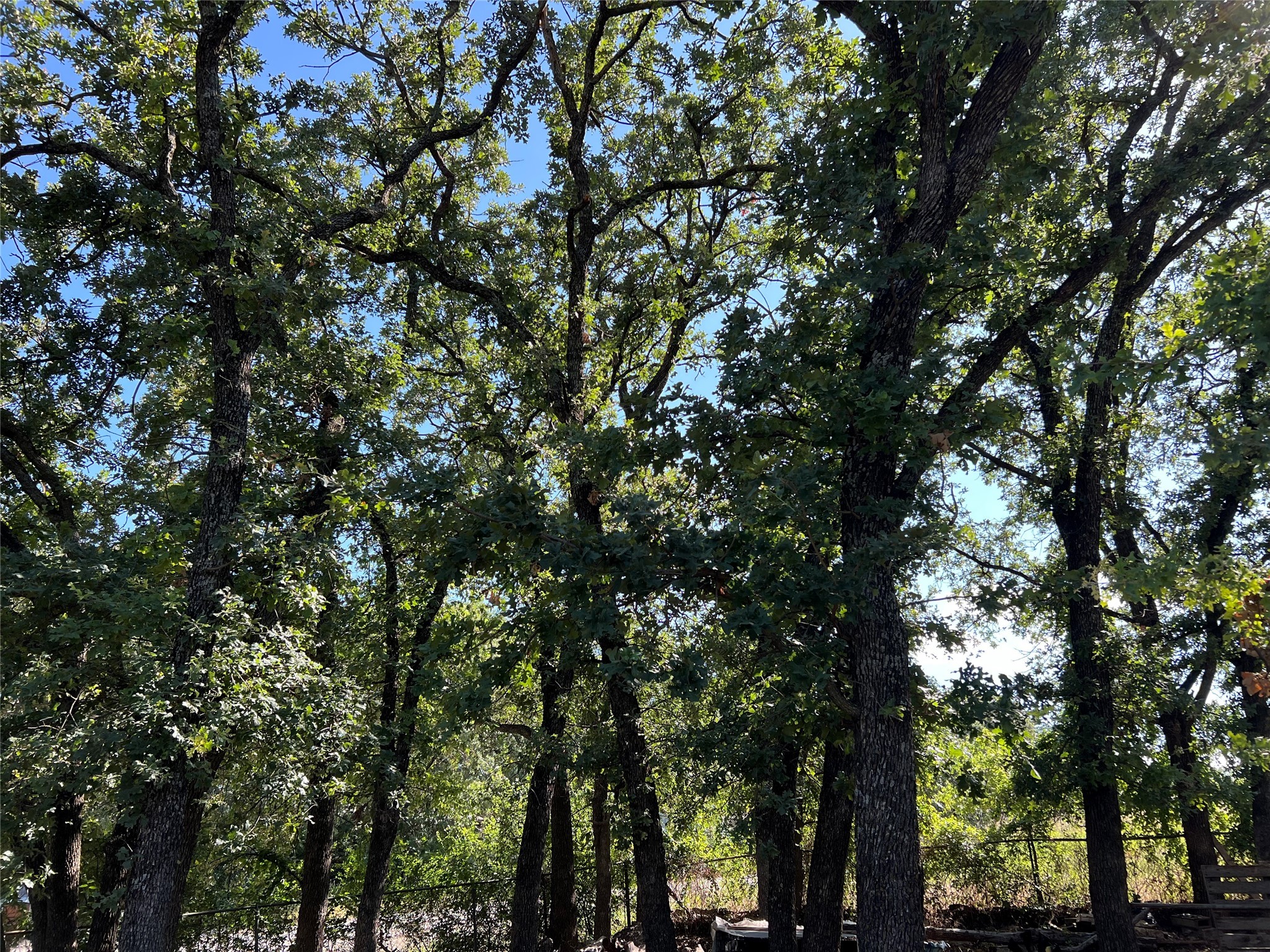 4129 Cactus Drive Argyle TX 76226