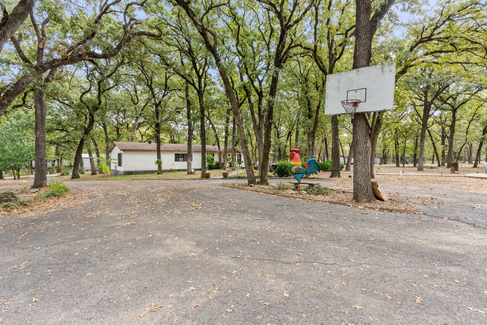 20011 Bernie Drive Kemp TX 75143