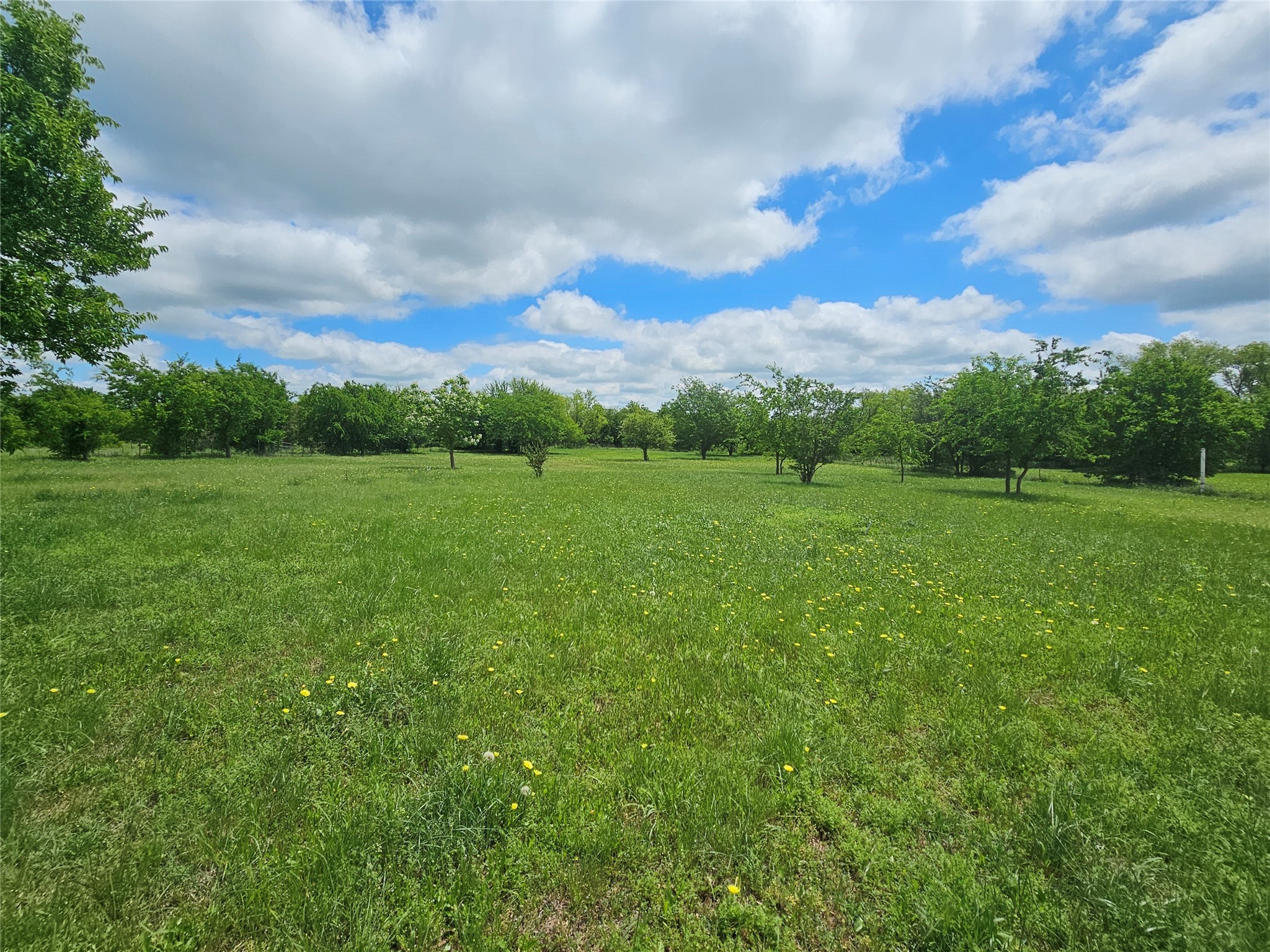249 Private Road 4434 Rhome TX 76078