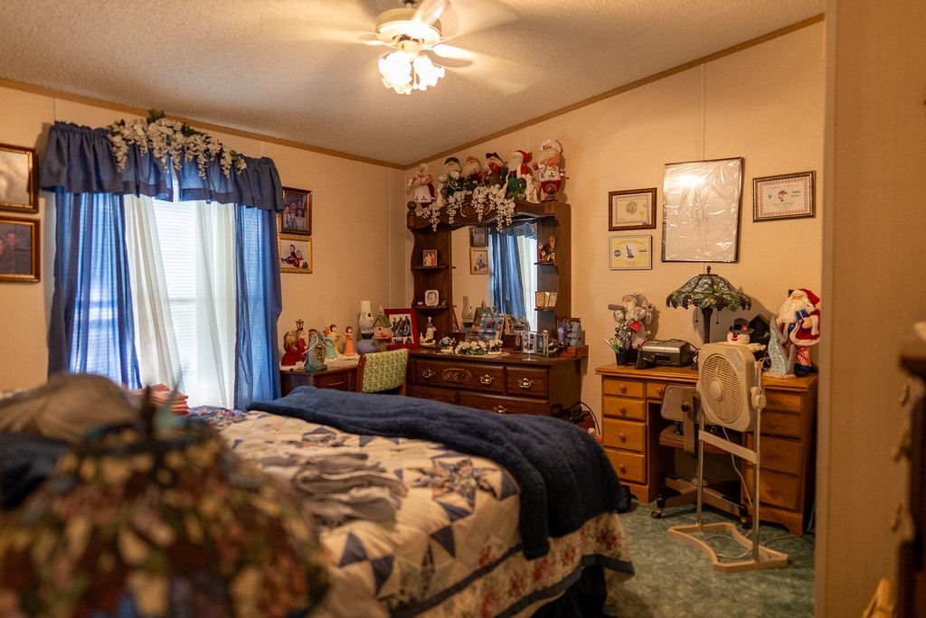 303 Private Road 1291 Dublin TX 76446