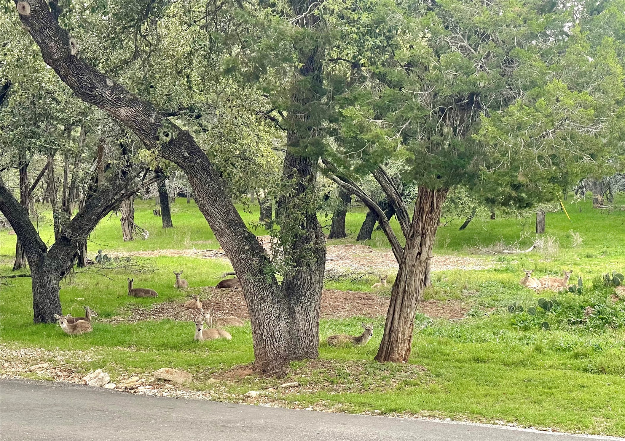 2334 Sanbar Road Possum Kingdom Lake TX 76449