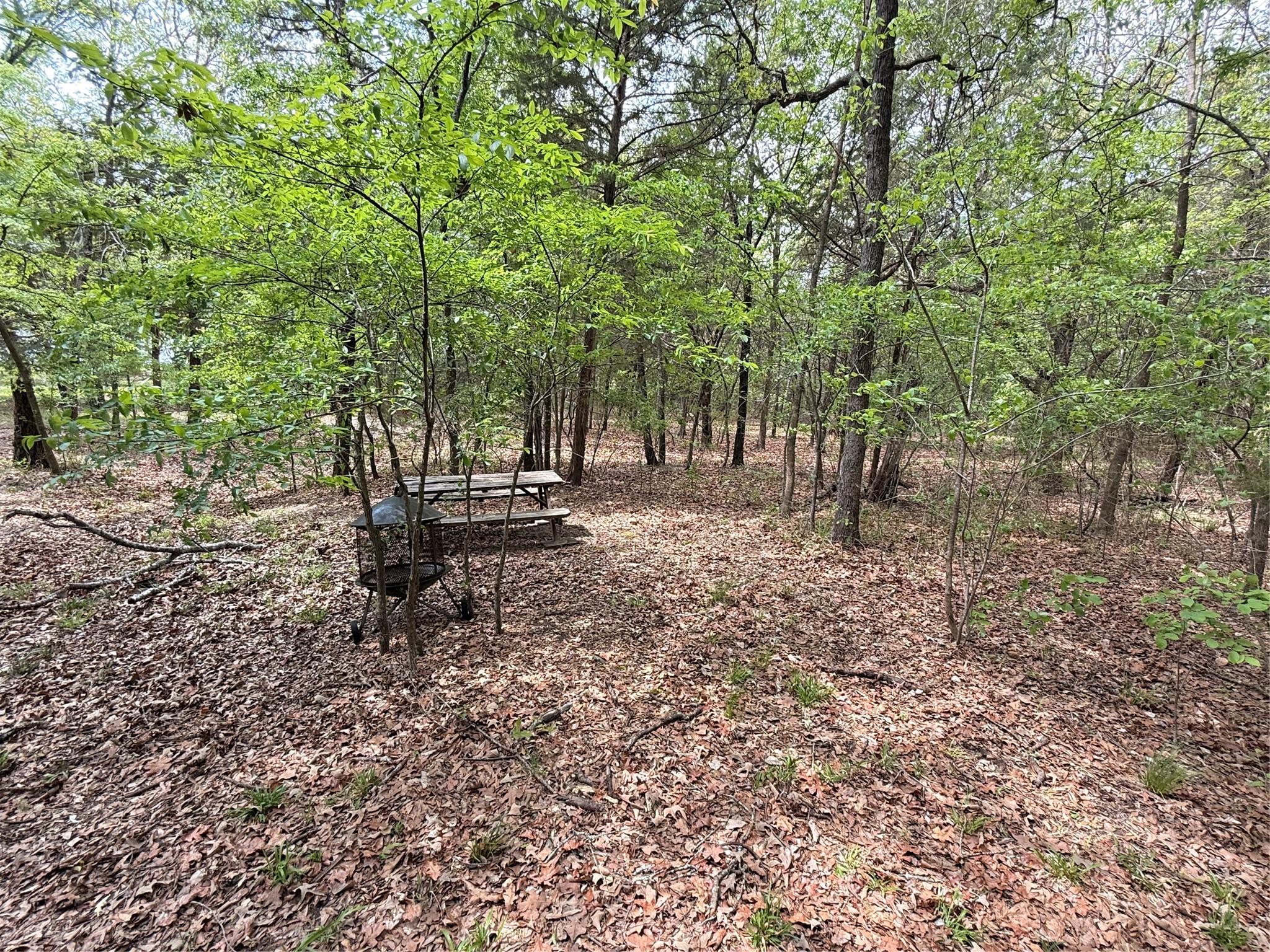 6435 Fm 17 Lots 68-77 Yantis TX 75497