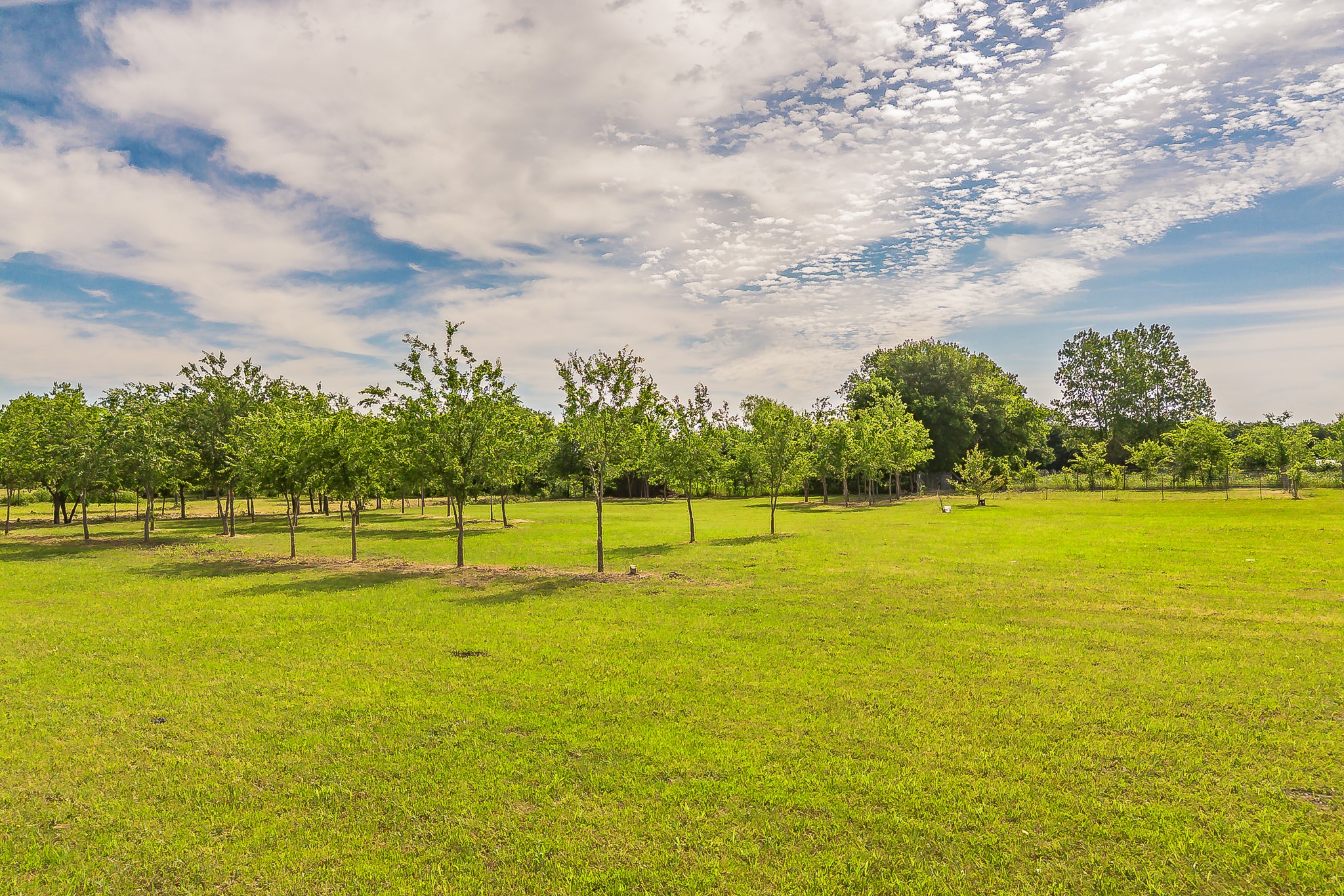 18035 Brookfield Drive Justin TX 76247