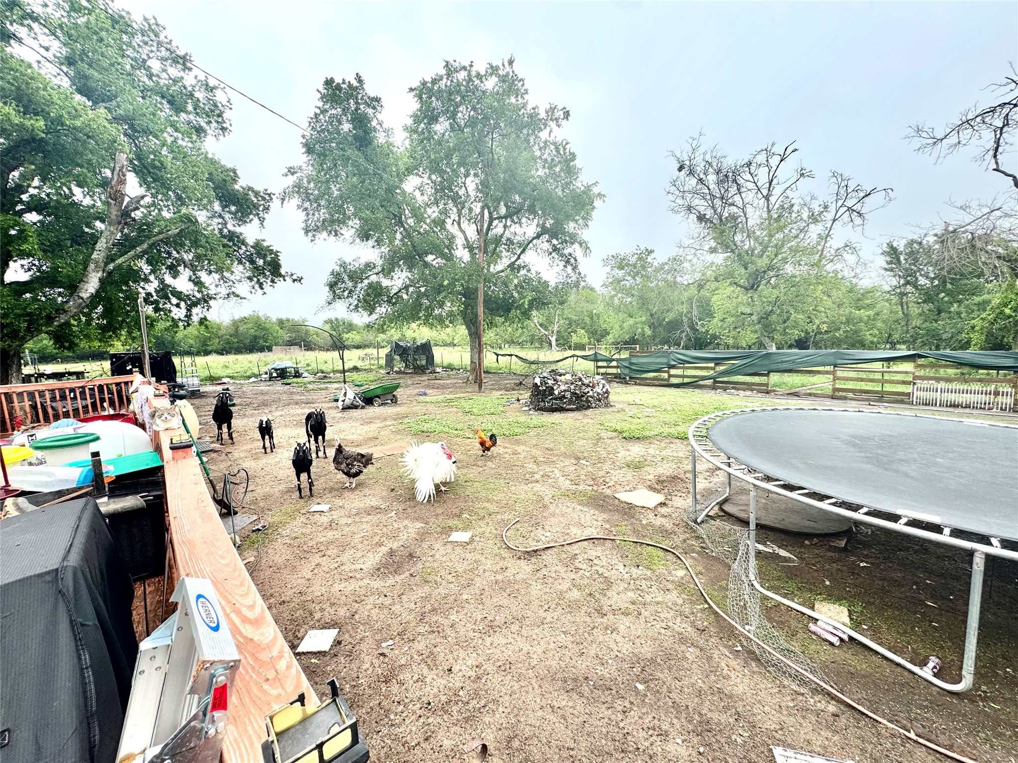 1560 Fm 27 Wortham TX 76693