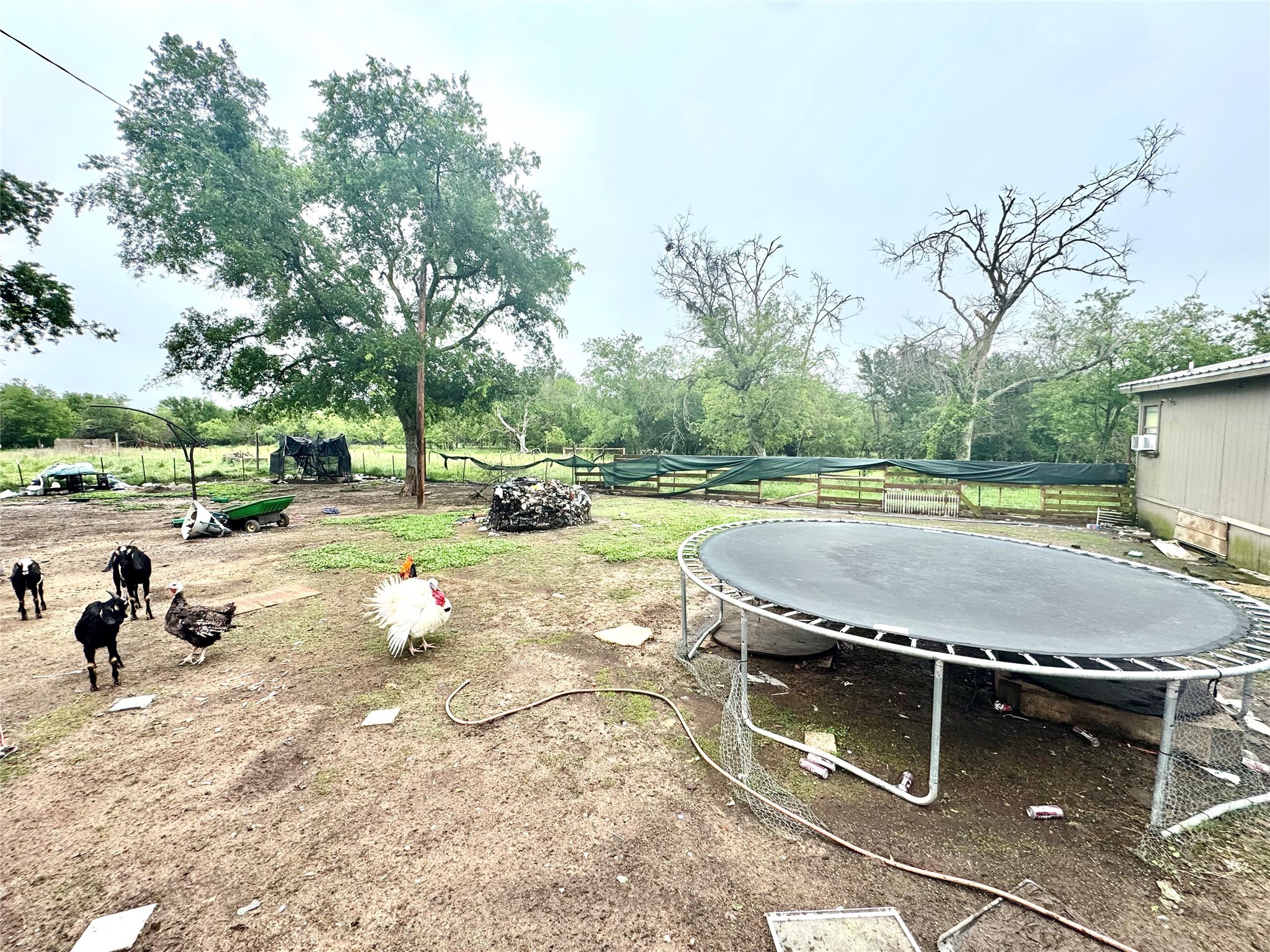 1560 Fm 27 Wortham TX 76693