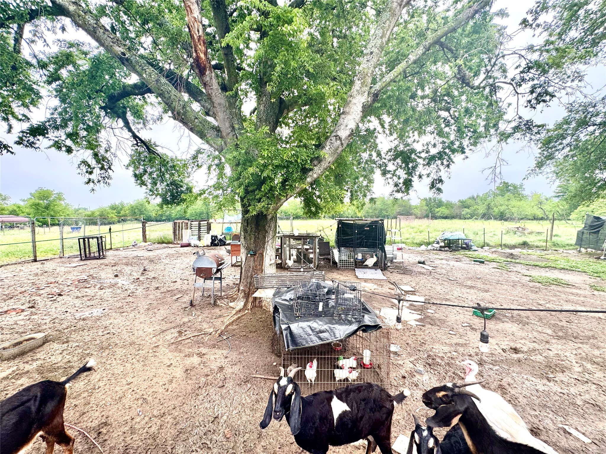 1560 Fm 27 Wortham TX 76693