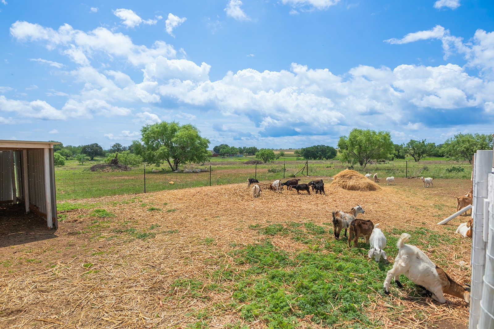 305 S Brown Street Richland Springs TX 76871