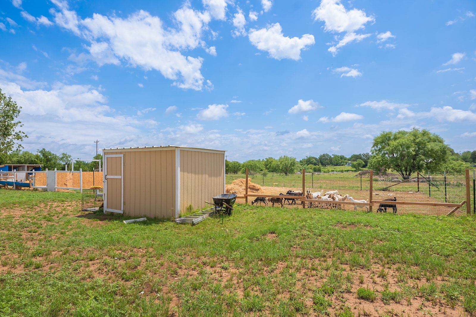 305 S Brown Street Richland Springs TX 76871