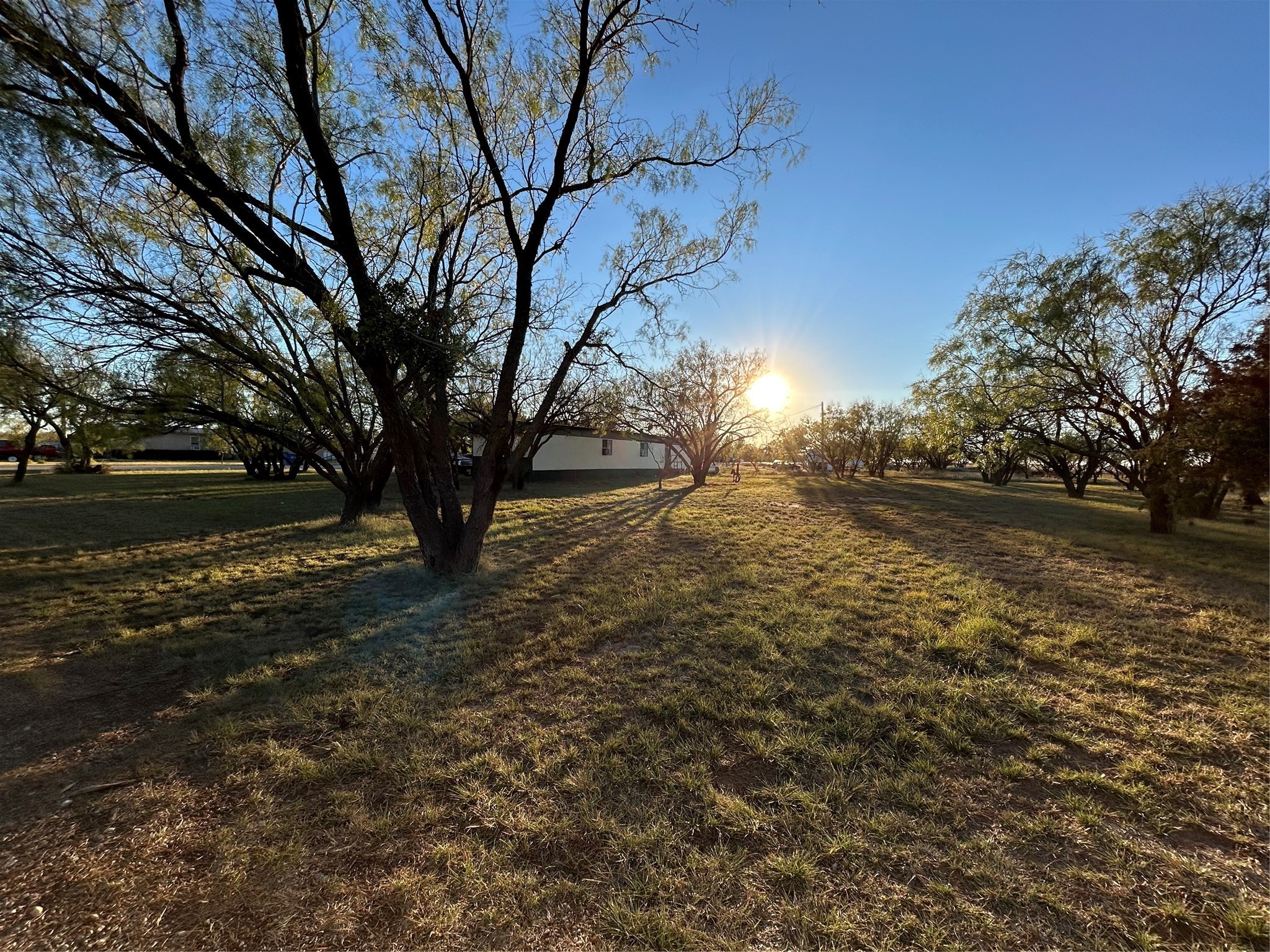460 Mulberry Creek Merkel TX 79536