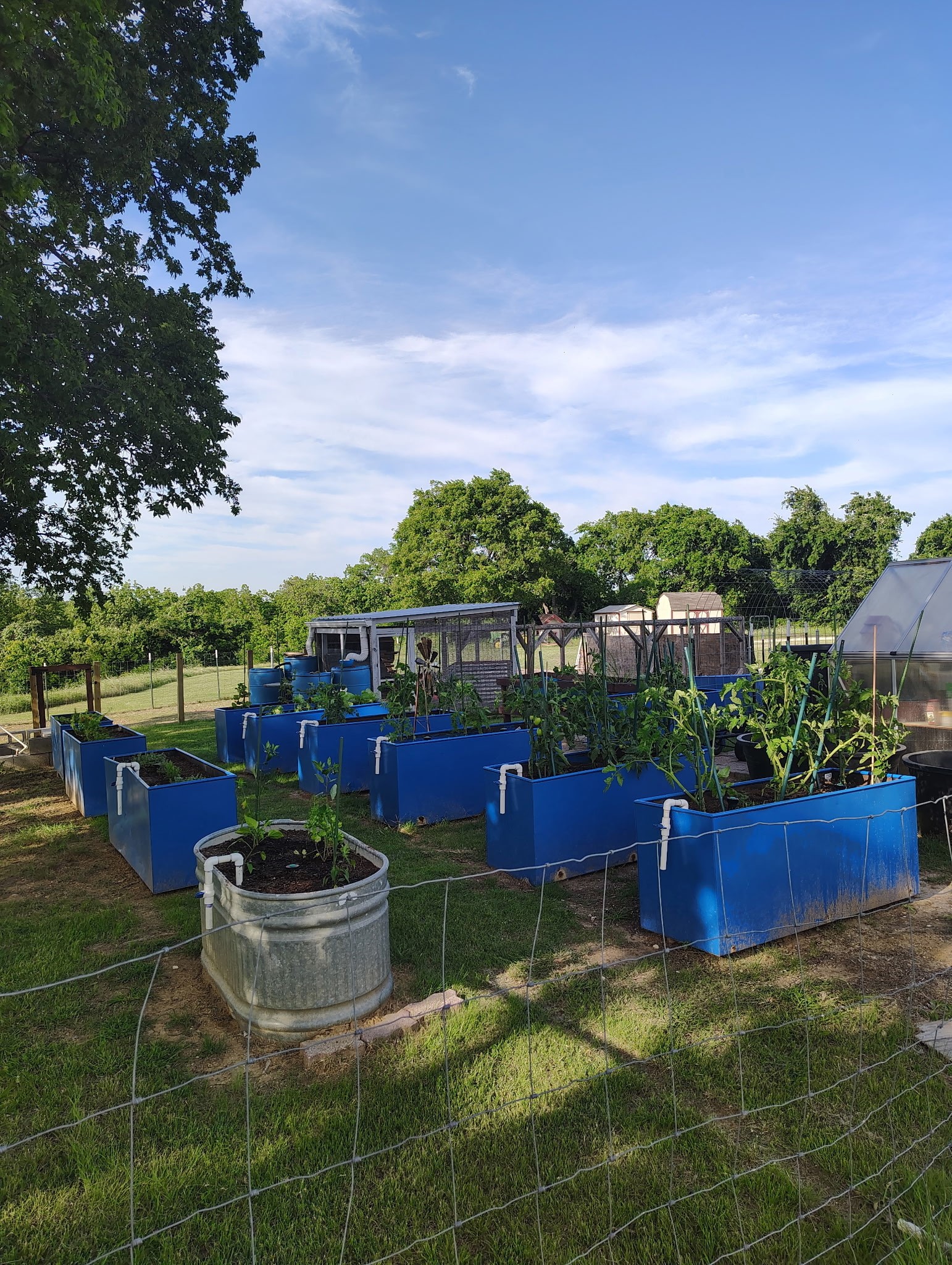 1147 Hill County Road 1458 Itasca TX 76055