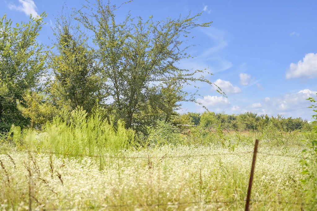 2675 County Road 1165 Brashear TX 75420